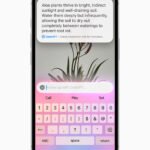 iPhone 16e photo 6